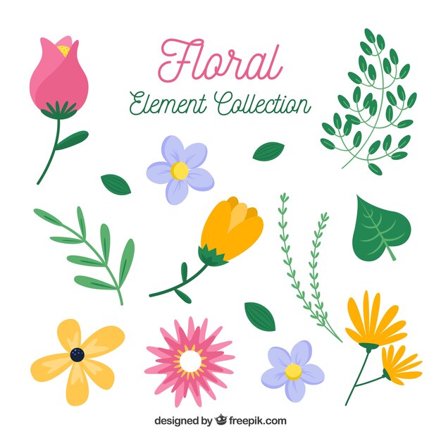 Bloemenelementeninzameling met verschillende soorten