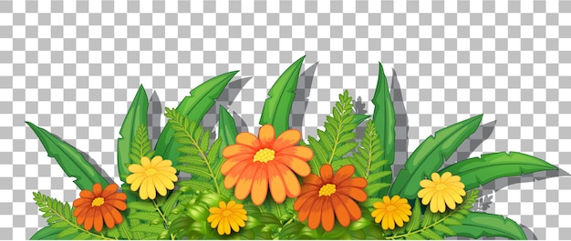 Gratis vector bloemstruik met bladeren op transparante achtergrond