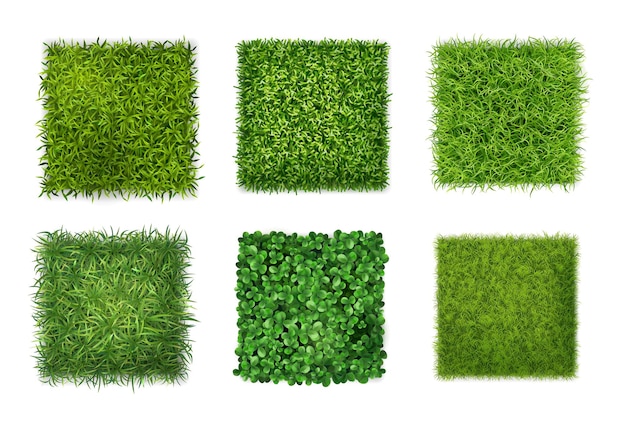 Gratis vector bodembedekker planten achtergrond textuur 6 realistische vierkante pictogrammen instellen met groen gras klaver bladeren vector illustratie