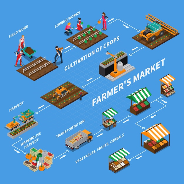 Boerenmarkt stroomdiagram concept