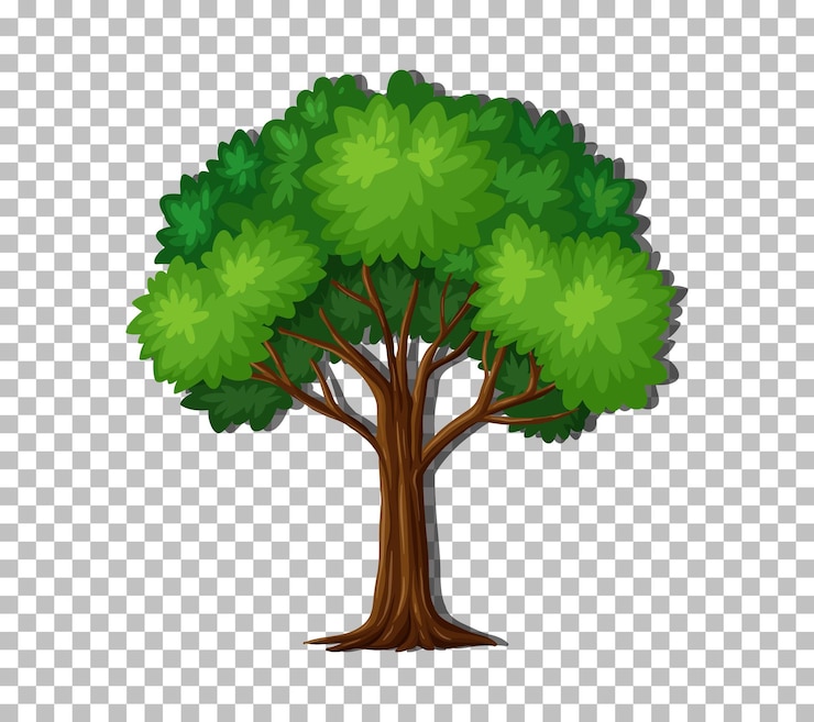 Gratis Vector boom op transparante achtergrond