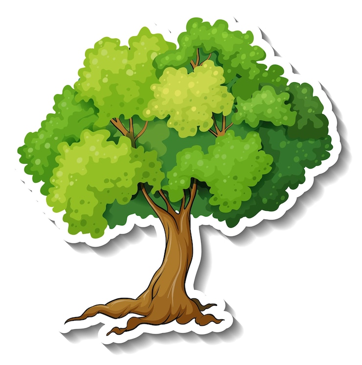 Gratis Vector boomsticker op witte achtergrond