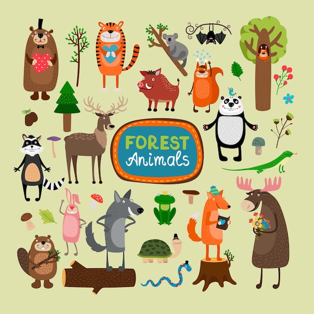 bos dieren illustratie set
