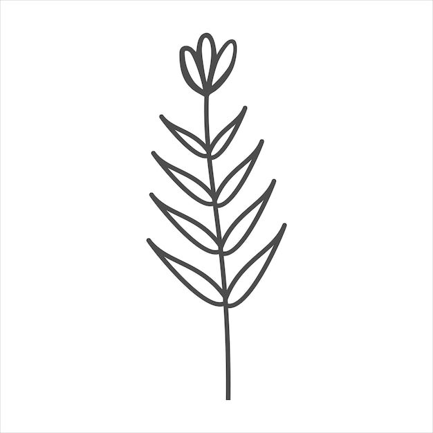 Botanische blad doodle wilde bloemen lijntekeningen