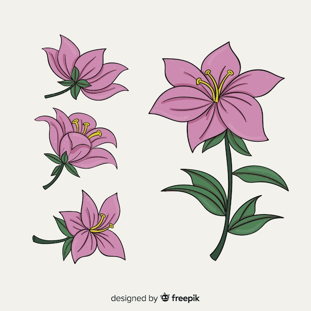 Gratis vector botanische bloemen- en bladerencollectie