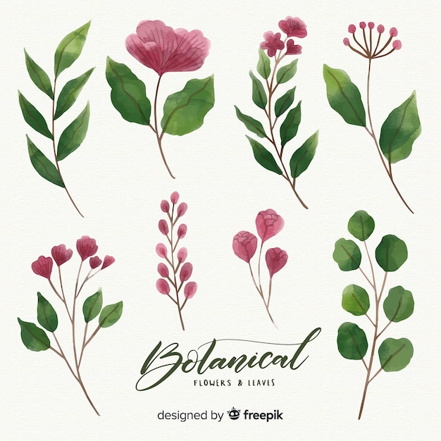 Botanische bloemen- en bladerencollectie