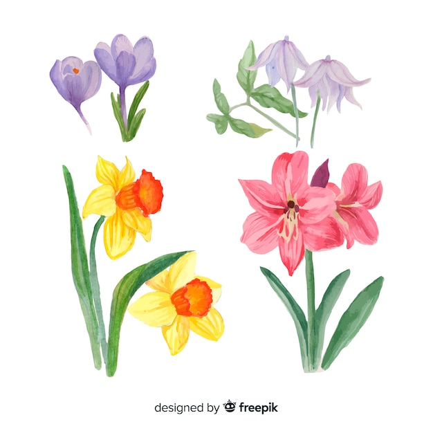 Gratis vector botanische bloemen- en bladerencollectie