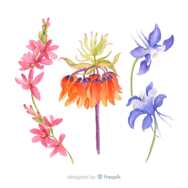 Gratis vector botanische bloemen- en bladerencollectie