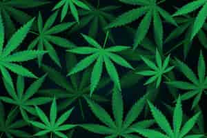 Gratis vector botanische cannabis blad achtergrond