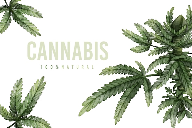 Botanische cannabis blad achtergrond