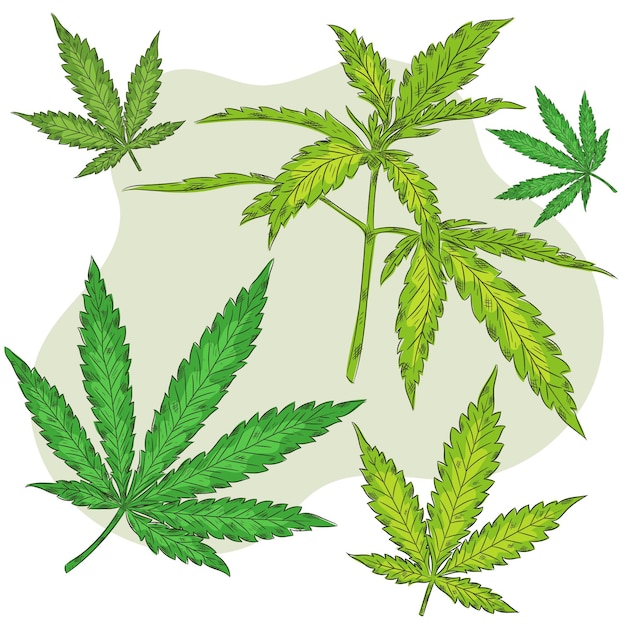 Gratis vector botanische cannabisbladeren