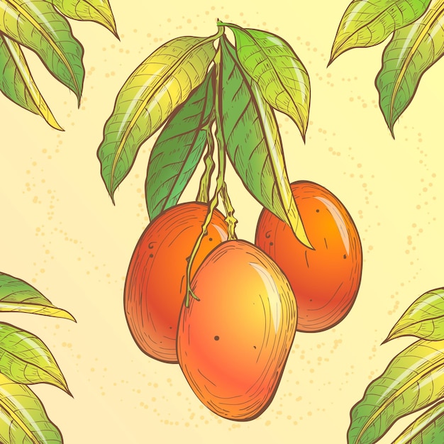 Botanische mangoboom illustratie