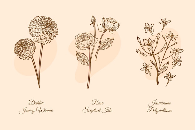 Gratis vector botanische tuinelementencollectie