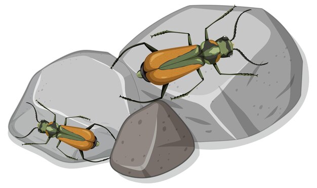 Gratis vector bovenaanzicht van veel malachius aeneus-insect op stenen