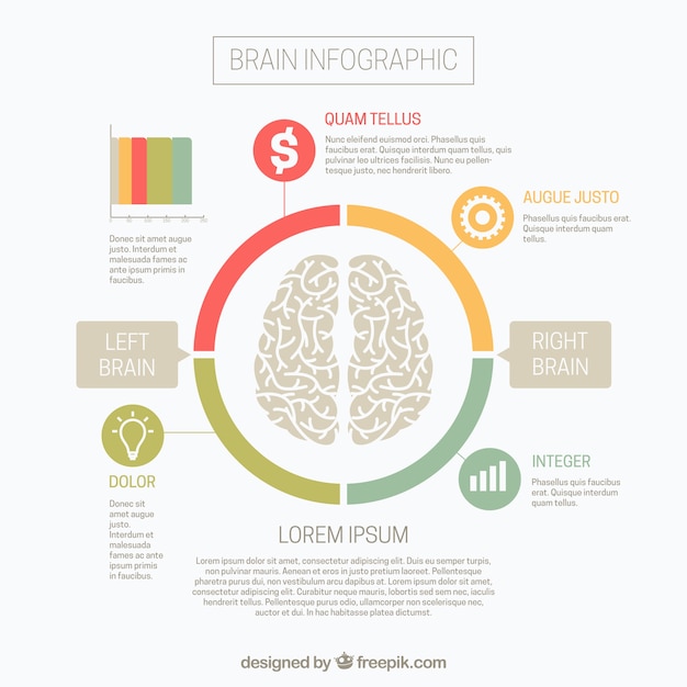 Brain infographic met rechter en linker hemisfeer