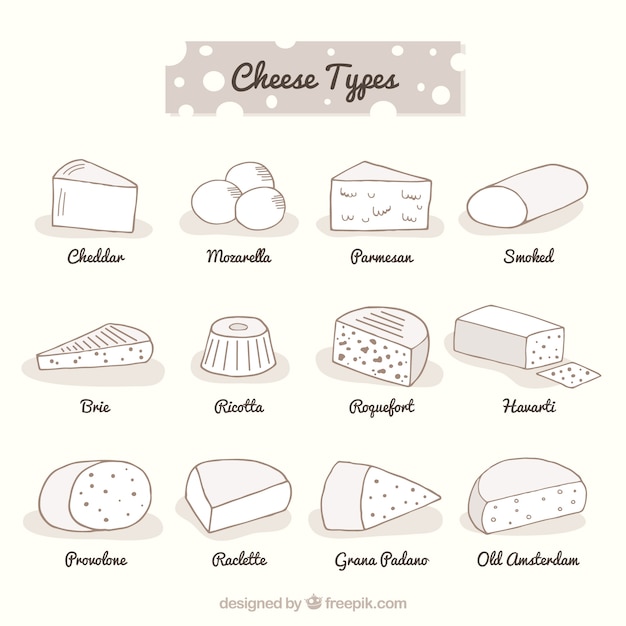Gratis vector brede selectie van eerbiedige soorten kaas