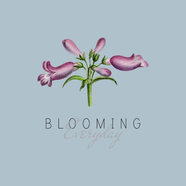 Gratis vector broadleaf penstemon bloem