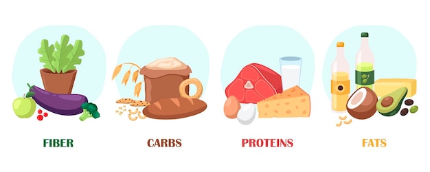 Bronnen van vezels, koolhydraten, eiwitten, vetten vector illustraties set. Verschillende categorieën of groepen producten of maaltijden met vitamines of micronutriënten op witte achtergrond. Voedsel, voeding, dieetconcept