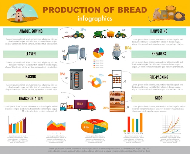 Broodproductie infographics