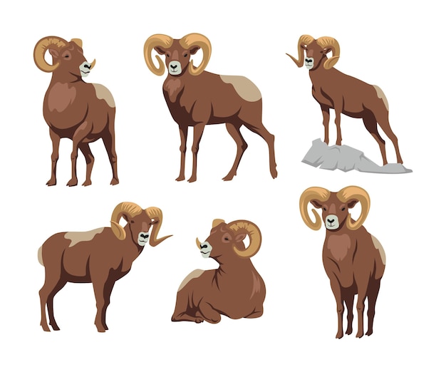 Gratis vector bruin dikhoorn in verschillende poses cartoon afbeelding instellen. ram, schapen, mascotte met grote hoorns zitten en staan platte vectorillustratie geïsoleerd op een witte achtergrond. dierlijk, agressieconcept