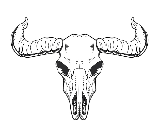 Gratis vector bull skull boho geïsoleerde icoon vector