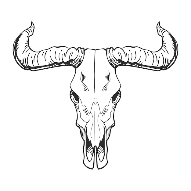 Gratis vector bull skull horned isolated icon vector