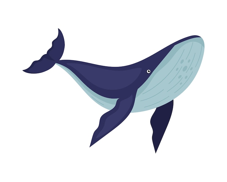 Gratis Vector bultrug zeeleven zoogdier