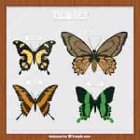 Gratis vector butterfly collectie in een frame