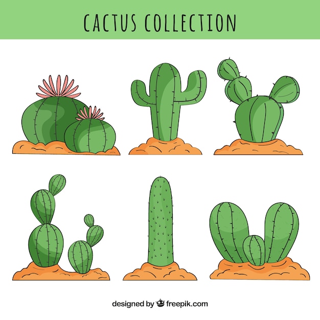 Gratis vector cactus collectie met handgetekende stijl