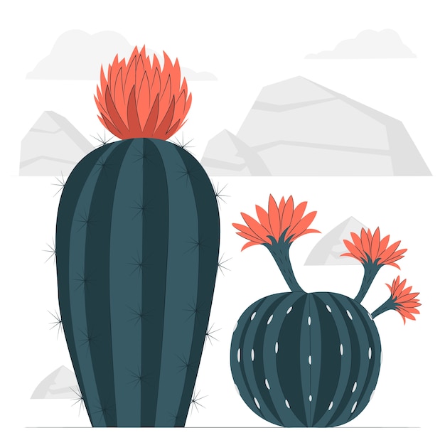 Cactus concept illustratie