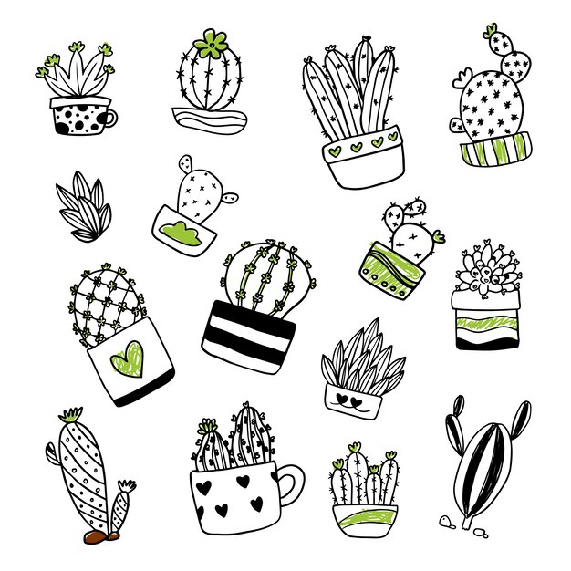 Cactus illustratie collectie