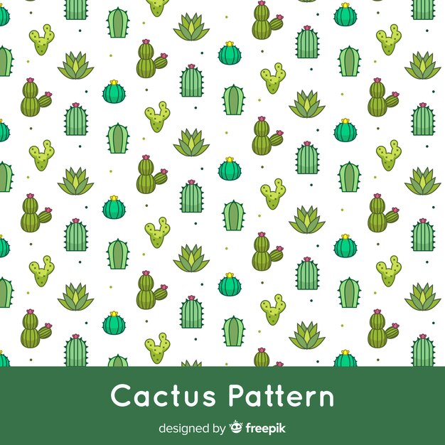 Cactus patroon