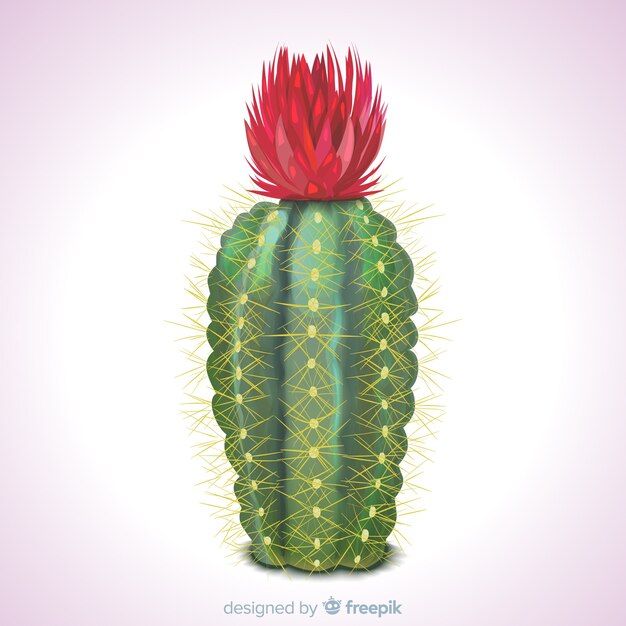 Cactus plant in realistische stijl