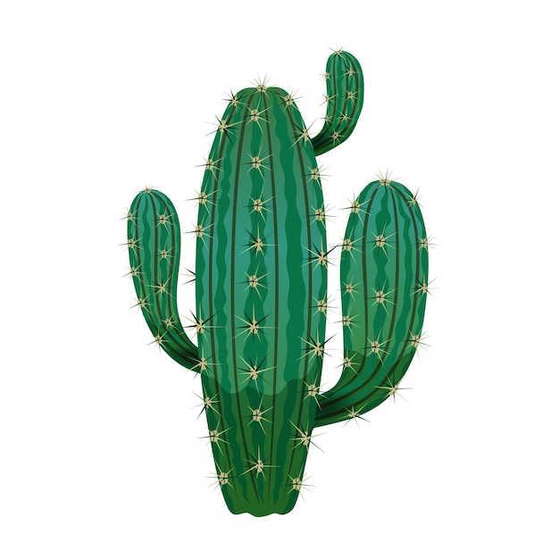 Gratis vector cactussamenstelling met geïsoleerde afbeelding van cactus op wit