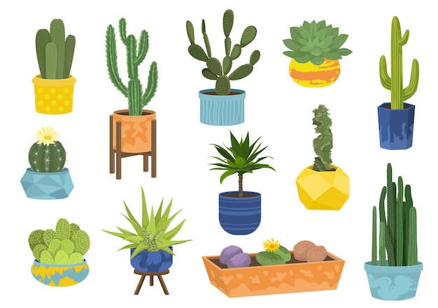 Gratis vector cactussen in potten platte pictogrammenset cactussen in gevormde en ronde grote en kleine gekleurde potten vectorillustratie