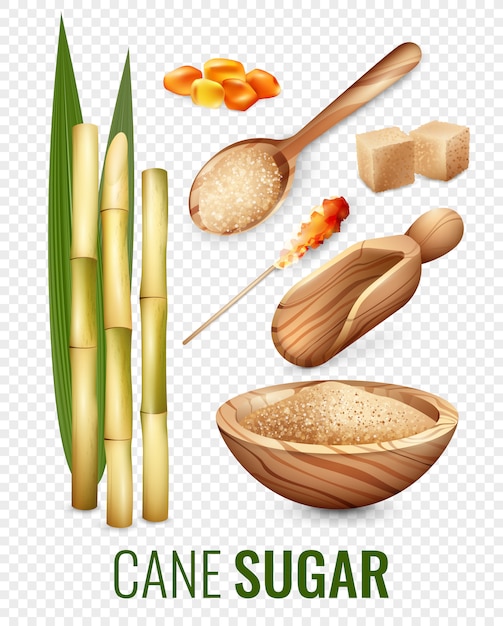 Gratis vector cane sugar transparante set