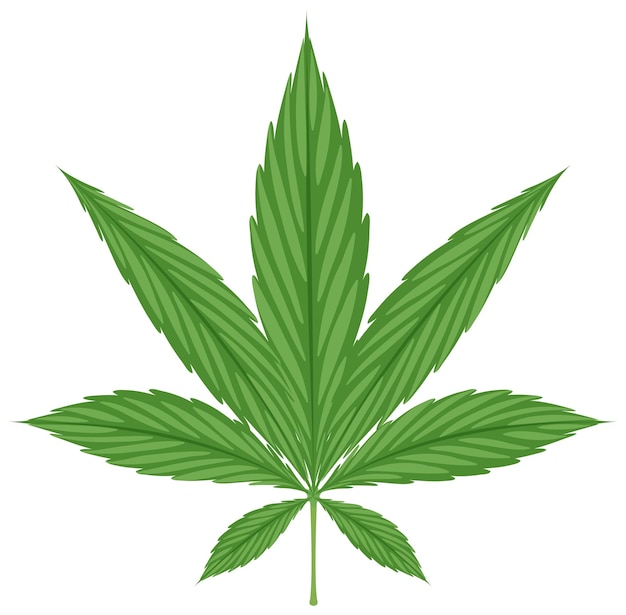 Cannabisblad op witte achtergrond