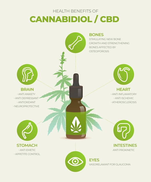 Gratis vector cannabisolie voordelen infographic