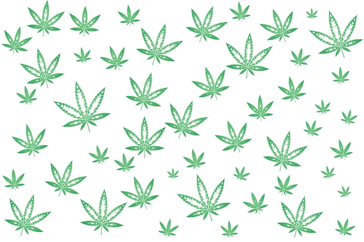 Gratis Vector cannabispatroon met marihuanabladeren