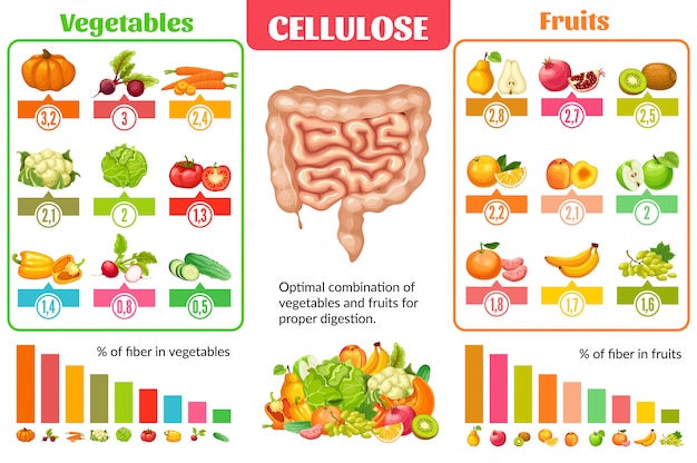 Cartoon gezonde voeding Infographic Concept