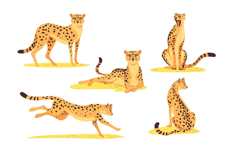 Gratis Vector cartoon luipaard set