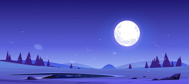 Cartoon nacht natuur landschap volle maan schijnt in de lucht met sterren boven veld met vijver, naaldbomen en rotsen. Donkere hemel met maanlicht romantische fantasieachtergrond, middernachtschemering vectormening