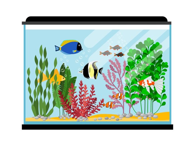 Cartoon vissen in aquarium. Zoutwater of zoetwatervis tank illustratie. Waterdier goudvis, tropische kleur zee vis