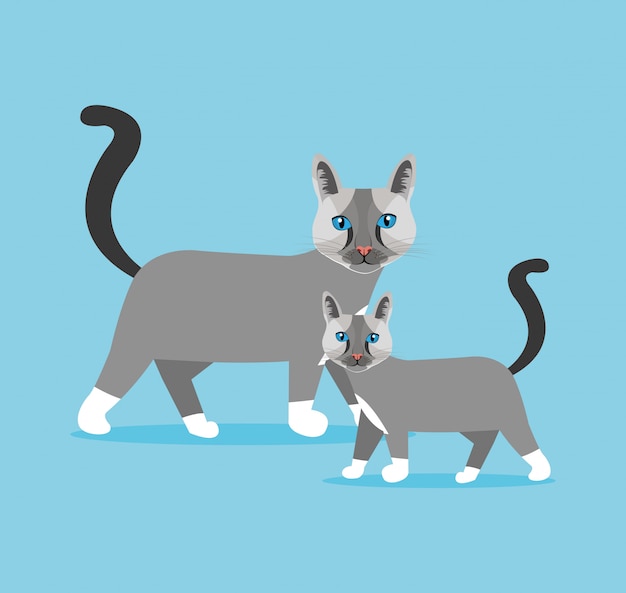 Gratis vector cat ontwerp.