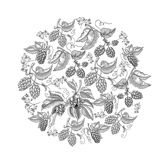 Cirkel patroon hop foliated doodle met herhalende mooie bessen op witte hand tekenen illustratie
