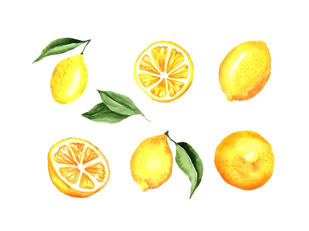 Gratis vector citroenen aquarel set