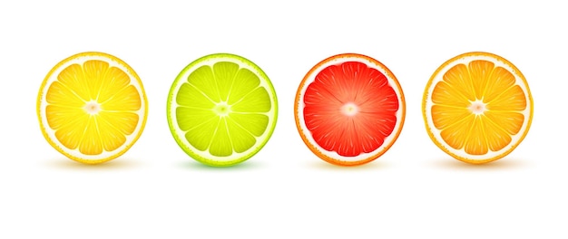 Gratis vector citrusvruchten plakjes realistische close-up set met citroen limoen grapefruit oranje schaduw reflectie op witte vectorillustratie