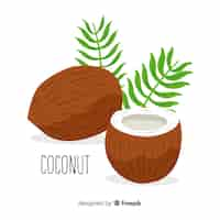 Gratis vector coconuts