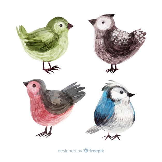 Collectie van aquarel herfst vogels