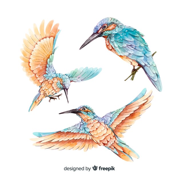 Collectie van aquarel realistische vogels